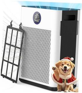 Ap10000 Zhongshan Lianchang Electrical Appliance Co. Ltd Air Purifiers For Home Up To 2300ft With Double-sided Ap303