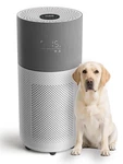 Cleanforce Air Purifier Home Large Room Up To 2550 Ft , Swiss Sanitized H.... Fixed Price $551.45.