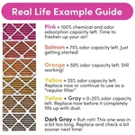 Dynamic 24X24X1 Filter 2-PACK Pet Hair & Dust Removal. Fixed Price $96.99.