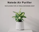 Natede Plant-powered Natural Air Purifier By Vitesy. Fixed Price $99.95.