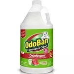 Odoban Gal. Cucumber Melon Disinfectant, Laundry And Air Freshener (1 Pack). Fixed Price $6.99.