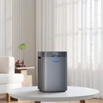 Flexispot Y2-G Flowlite Air Purifier H13 Hepa Carbon Filter 3IN1 Clean. Fixed Price $79.98.