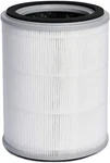 Toppin TPAP001 Air Purifier Replacement FILTER,H13 True Hepa. Fixed Price $20.99.