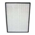 Dayton 2HPB5 Hepa & Carbon Filter, For G2718317. Fixed Price $84.00.