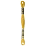 Dmc 6-STRAND Embroidery Cotton Floss, Straw. Fixed Price $16.47.