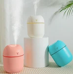1PC Mini Humidifier Car Air Purifier Silent Usb Bedroom Diffuser - New. Fixed Price $14.26.