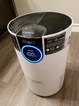 Shark Ninja - Clean Sense Air Purifier 500 Sq. Ft Model HP102. Fixed Price $73.00.