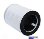 (1) Pureburg P100-RF Replacement Filter Compatible With Welov Pro Air. Fixed Price $12.00.