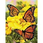Royal & Langnickel(r) Small Paint By Number Kit 8.75"X11.75"-MAJESTIC Monarchs. Fixed Price $10.28.