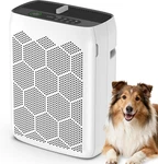 Hepa Air Purifier For Large Rooms, PM2.5 Display, Washable Filter, Sleep Mode. Fixed Price $249.99.