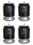 4 Of Freightliner Airbag Spring Replace 16-13810-000, Firestone W01-358-9781. Fixed Price $399.49.