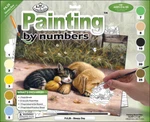 Royal Brush Junior Large Paint By Number Kit 15.25"X11.25"-SLEEPY Day (4PK). Fixed Price $28.55.