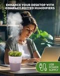 Small Humidifiers For Bedroom, Mini Fake Plants Portable Cool Mist Humidifier,. Fixed Price $19.95.