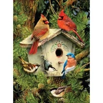 Royal & Langnickel(r) Small Paint By Number Kit 8.75"X11.75"-NATIVE Neighbors. Fixed Price $10.17.