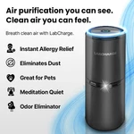 Labcharge Ionic Air Purifier 1611K. Fixed Price $39.99.